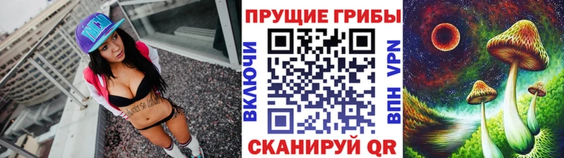 Галлюциногенные грибы Psilocybine cubensis  Новошахтинск 